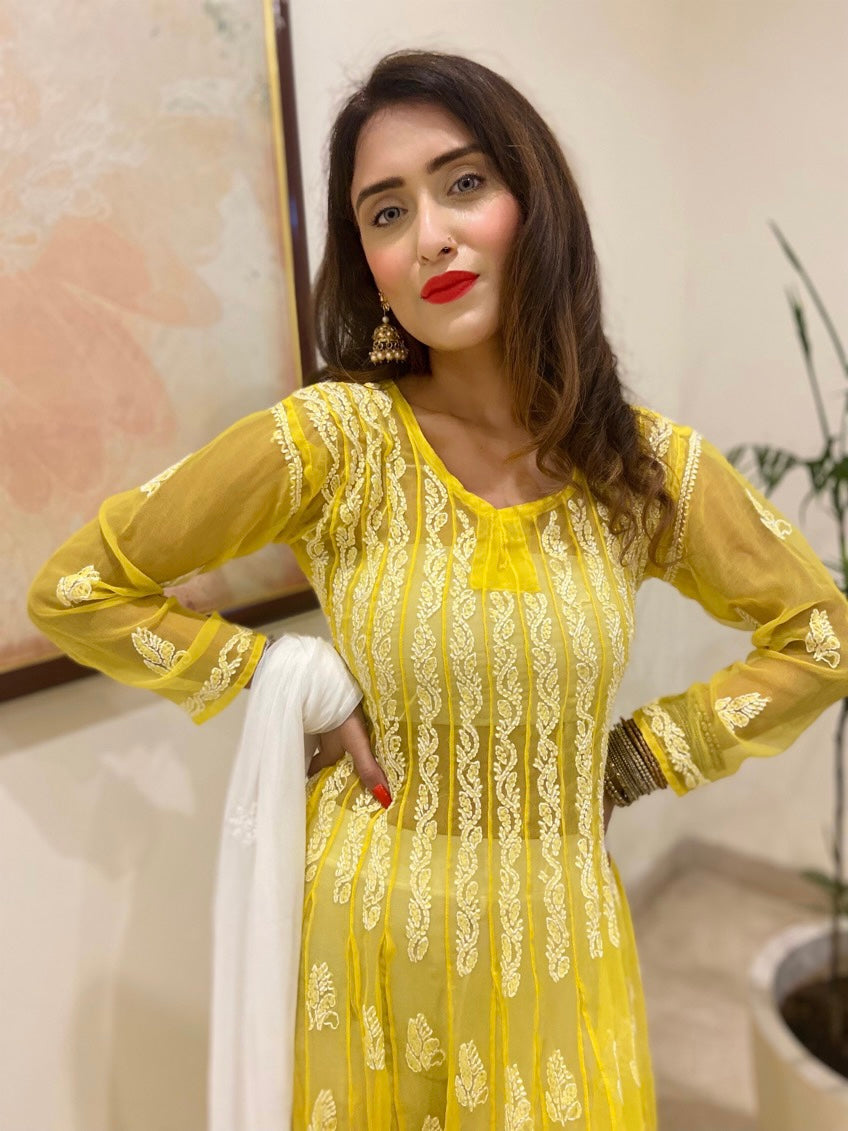 Adira Georgette Anarkali