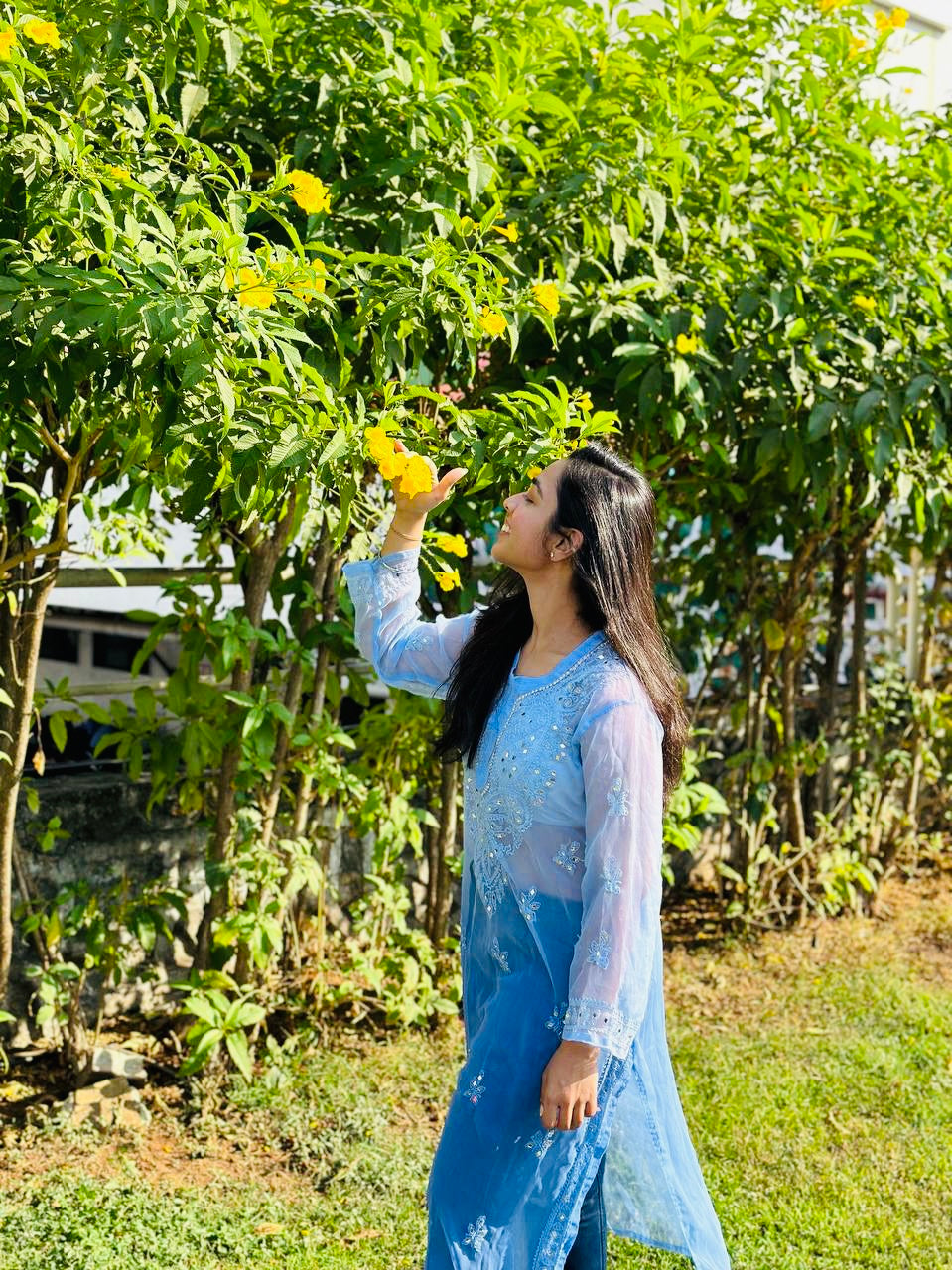 Amaira Georgette kurti