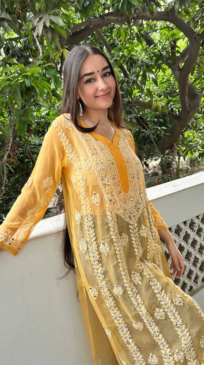 Sitara mirror kurti