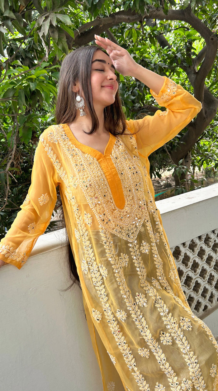 Sitara mirror kurti