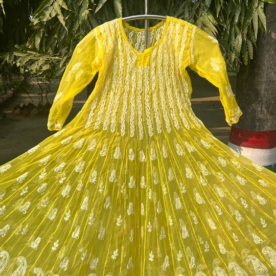 Adira Georgette Anarkali