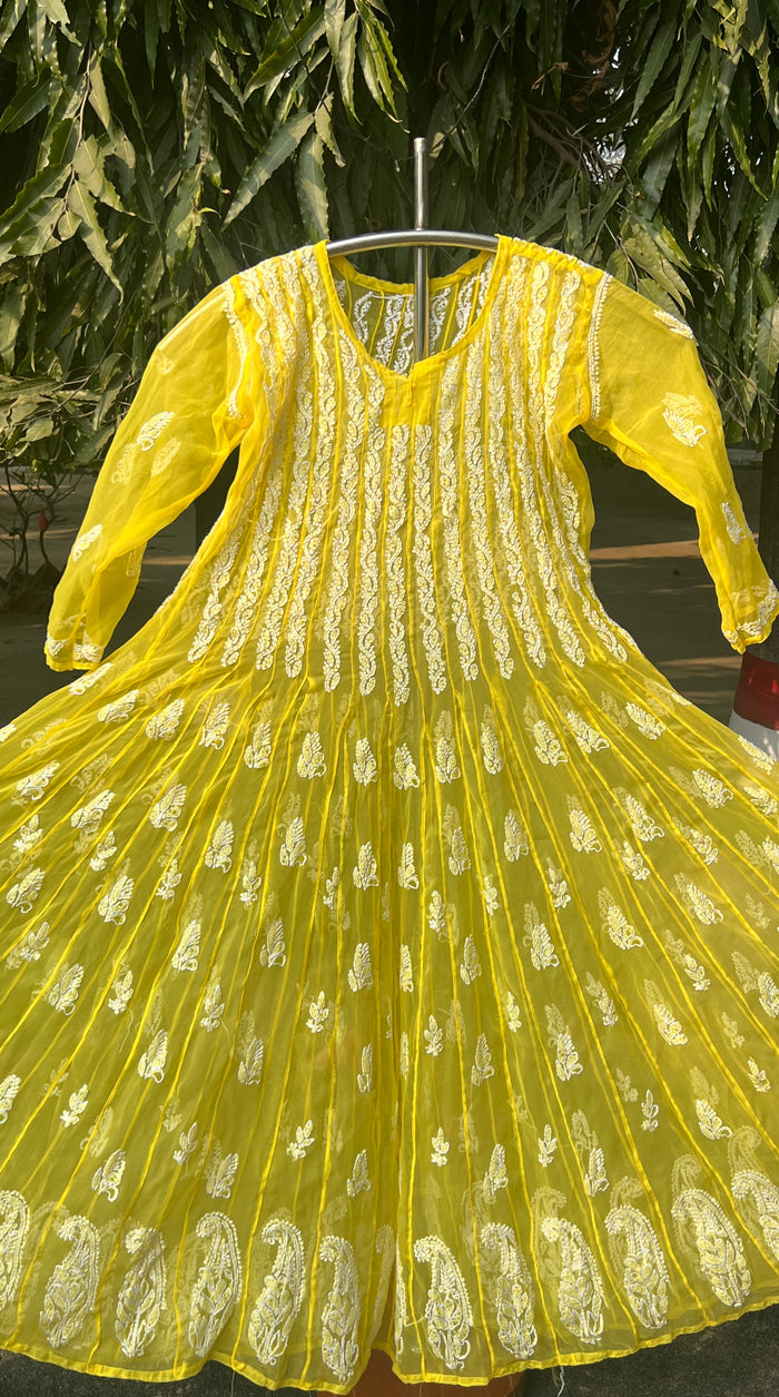 Adira Georgette Anarkali