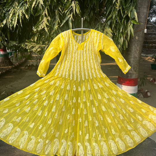 Adira Georgette Anarkali