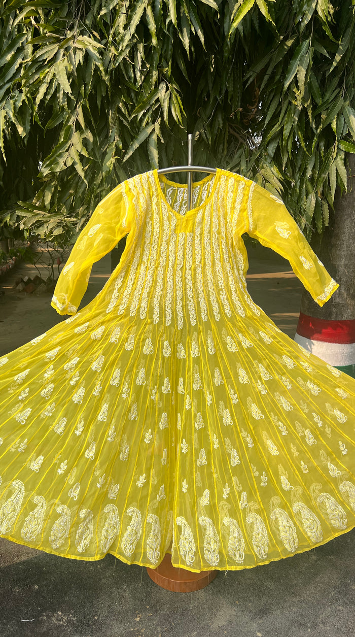 Adira Georgette Anarkali